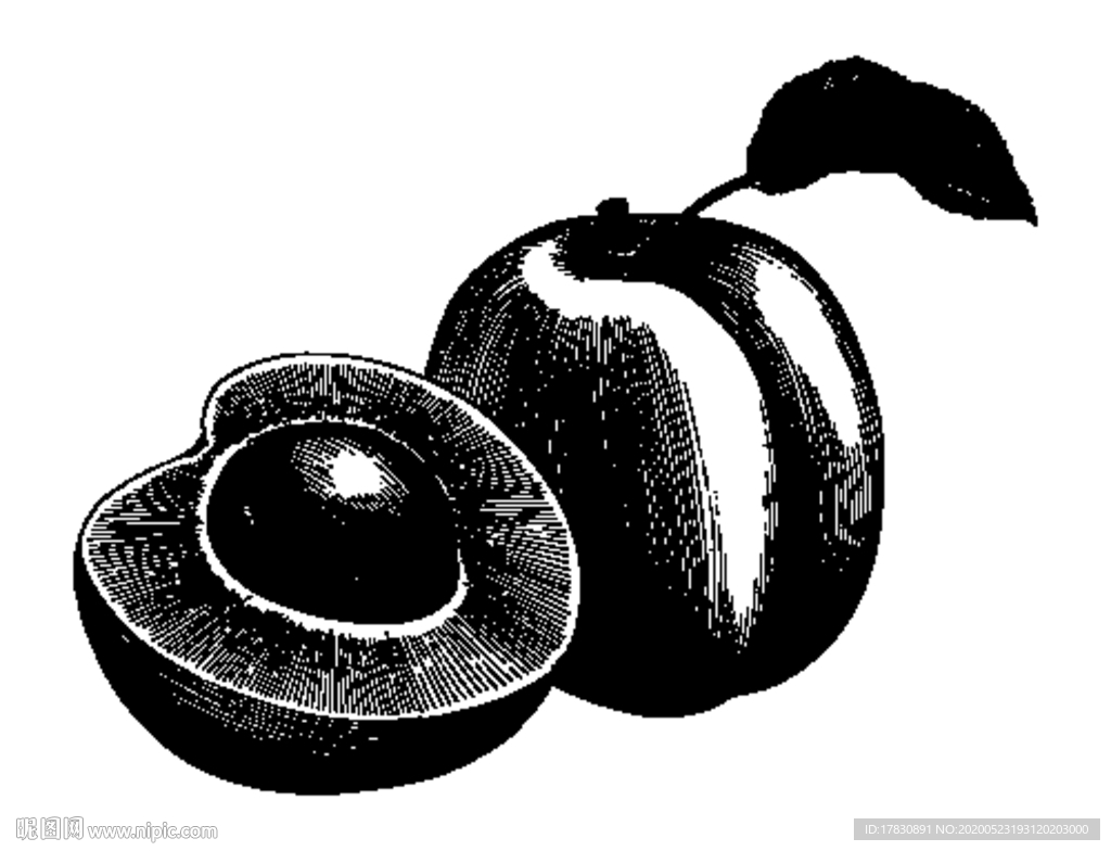 桃子仙桃手绘线条白描线描素材