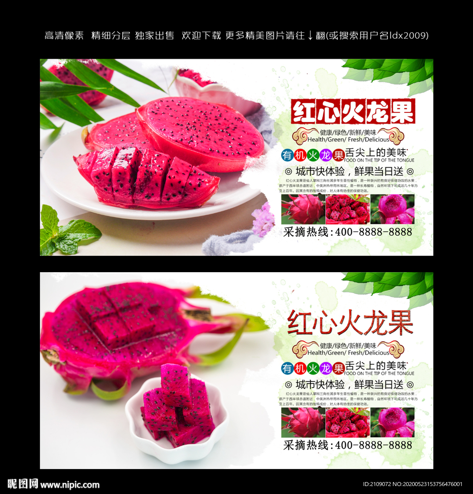 火龙果