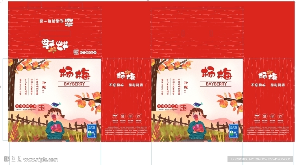 杨梅包装