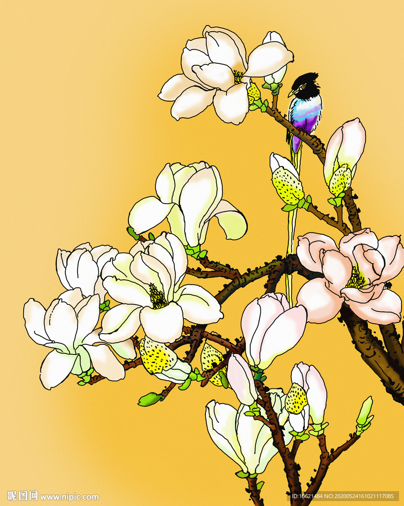 手绘花鸟