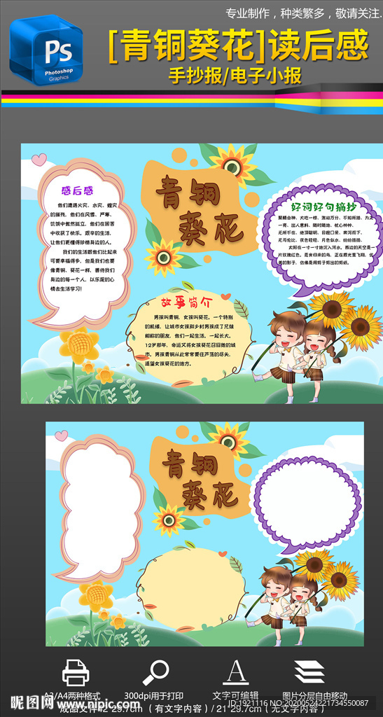 读书名著铜葵花读后感手抄报小报