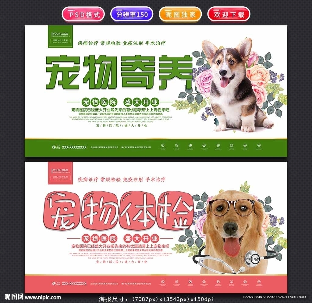 宠物会所