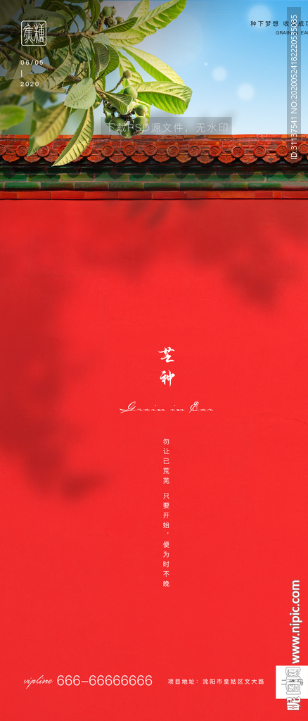 芒种
