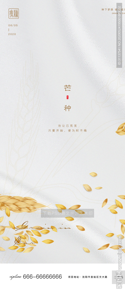 芒种
