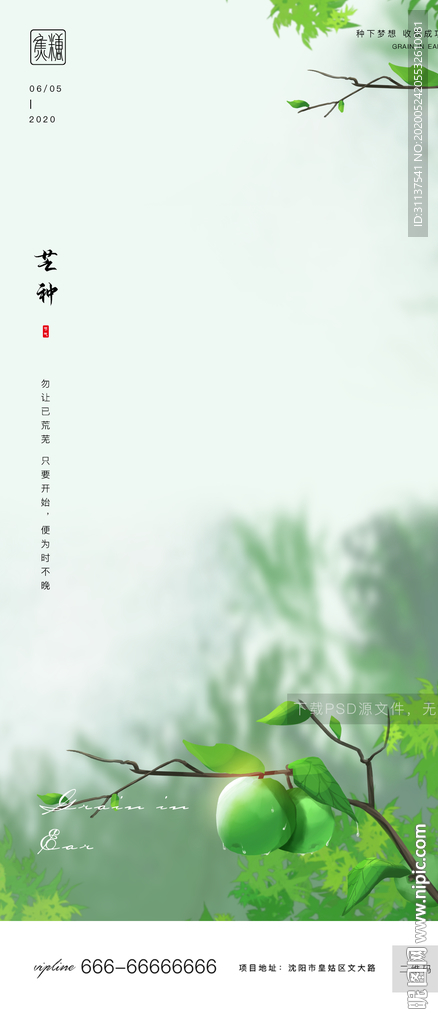 芒种