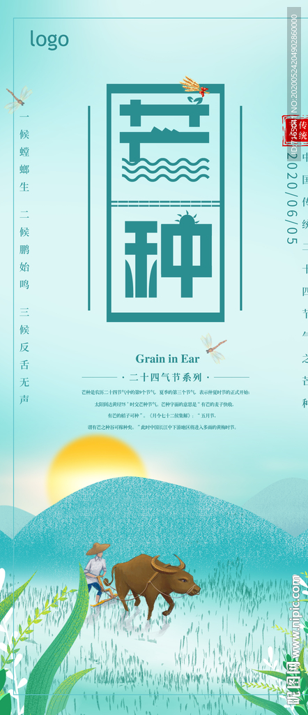 芒种图片