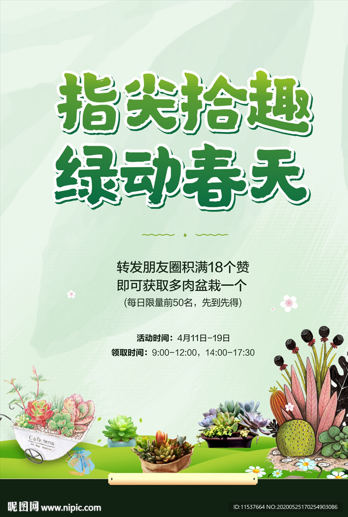 多肉植物活动