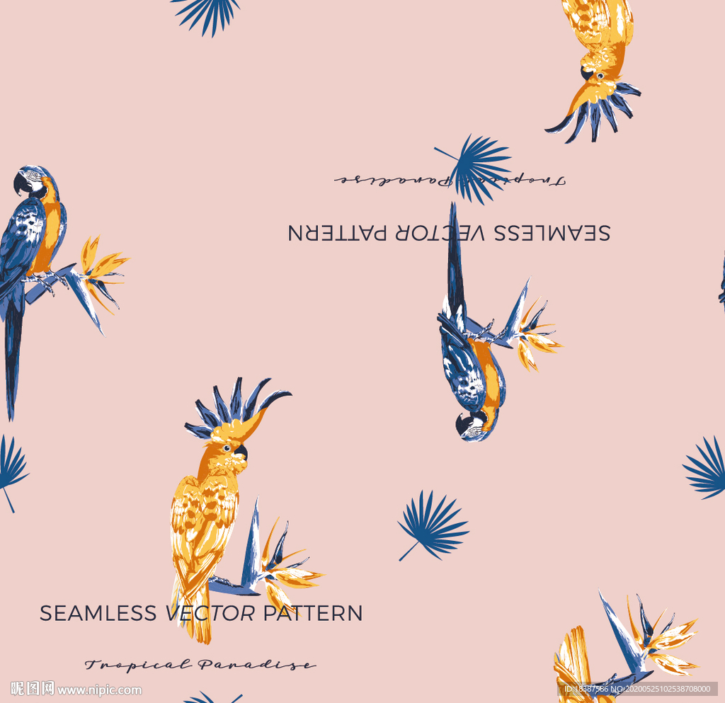 鹦鹉欧式印花图案