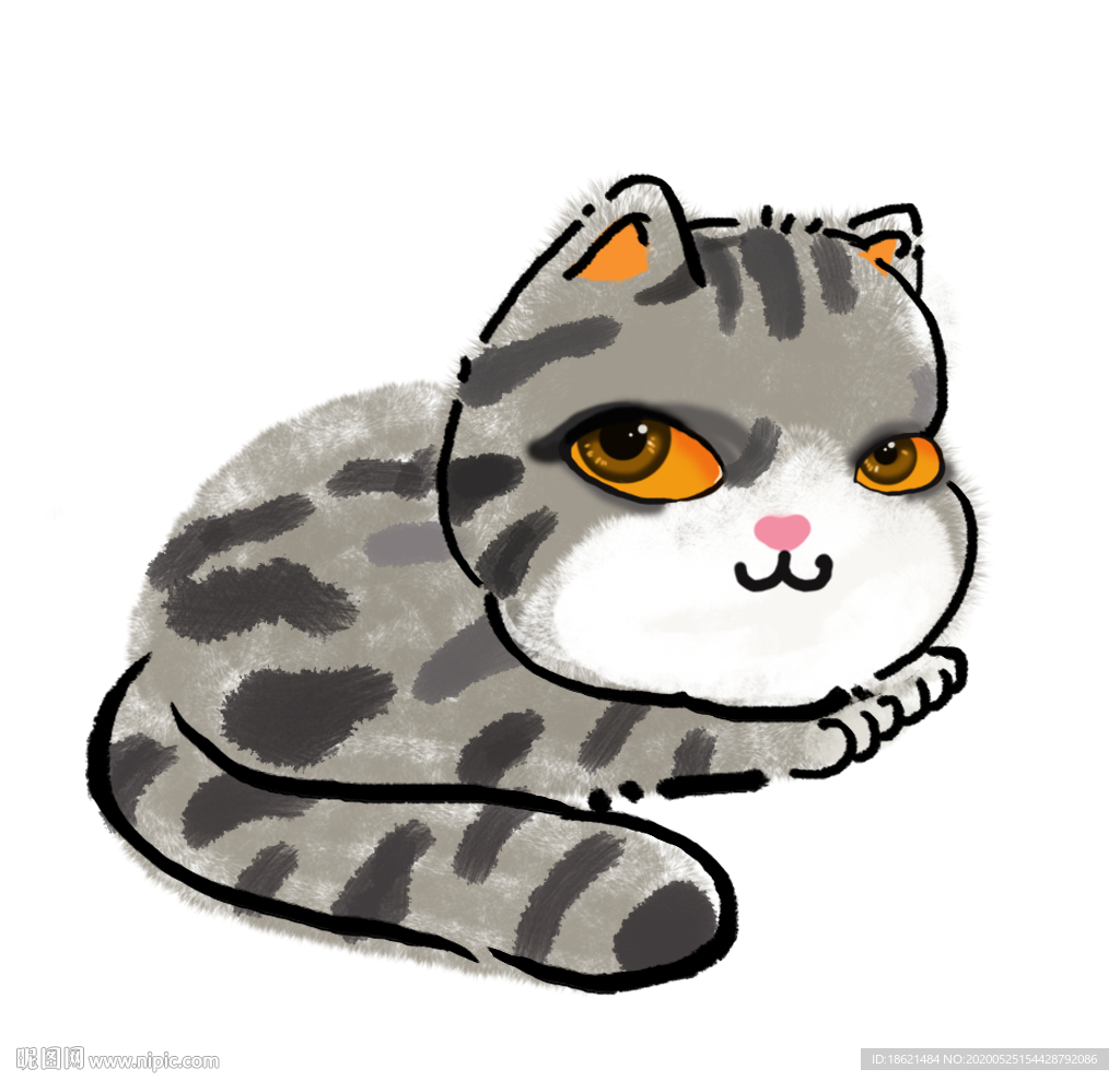 手绘猫