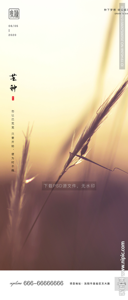 芒种