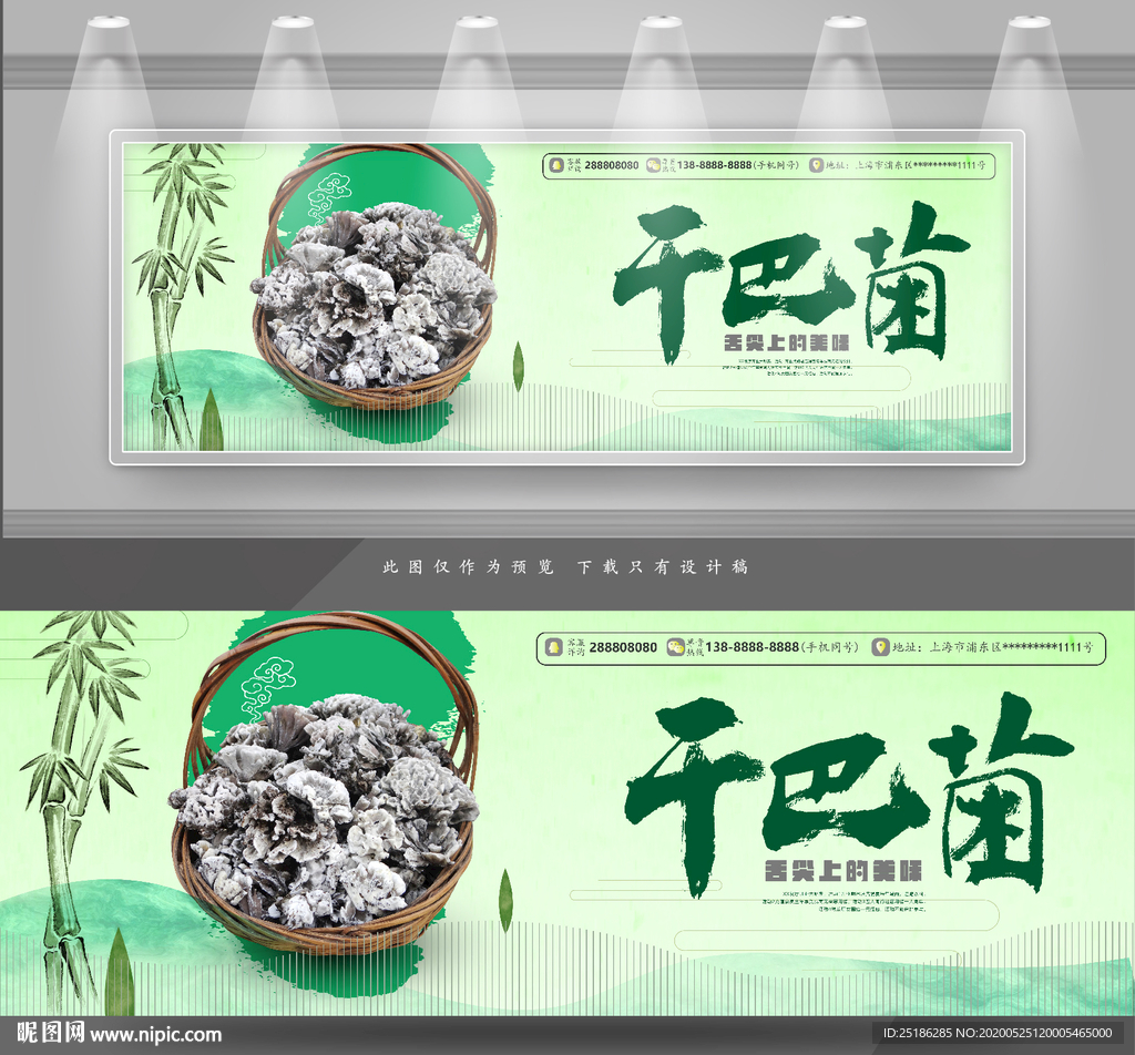 干巴菌