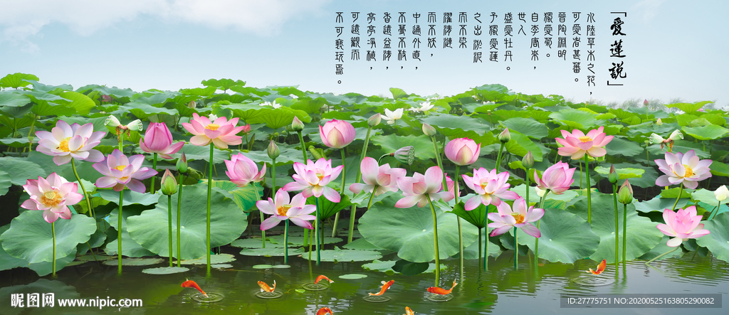 爱莲说