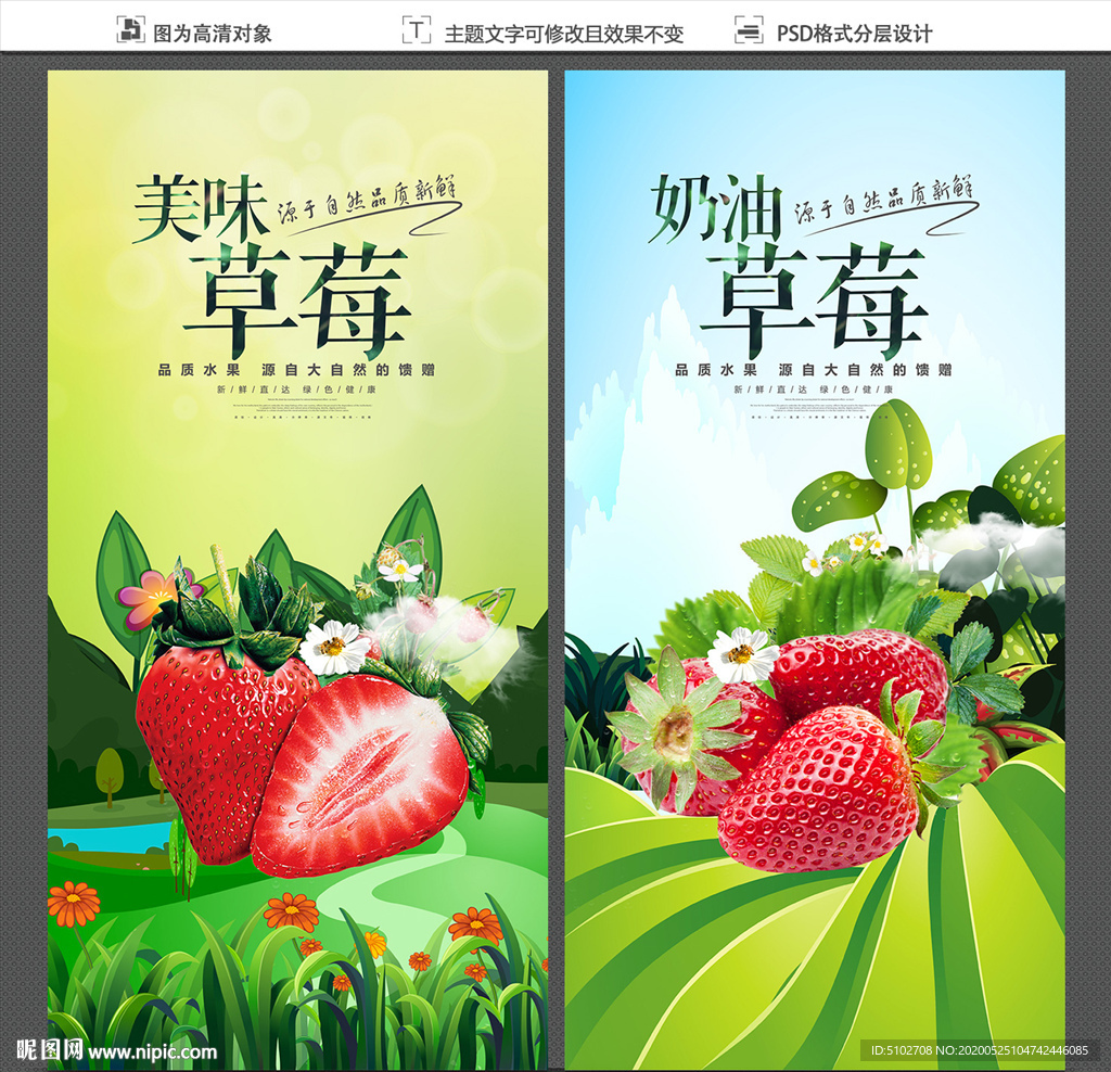 草莓采摘