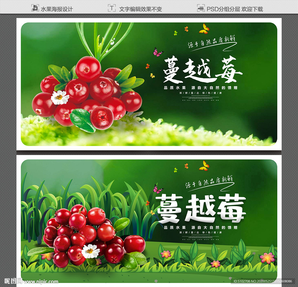 蔓越莓