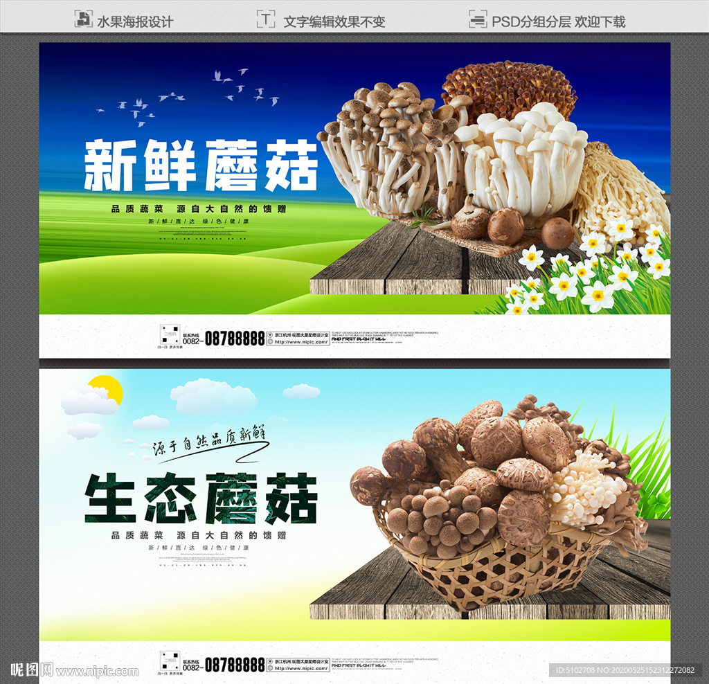 蘑菇