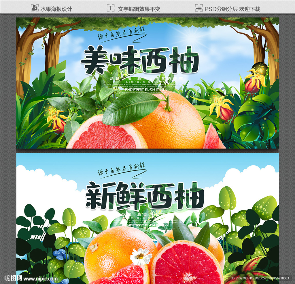 西柚