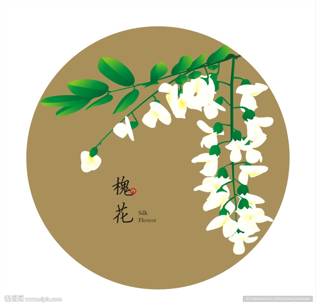 槐花