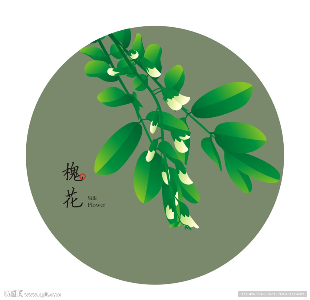 槐花