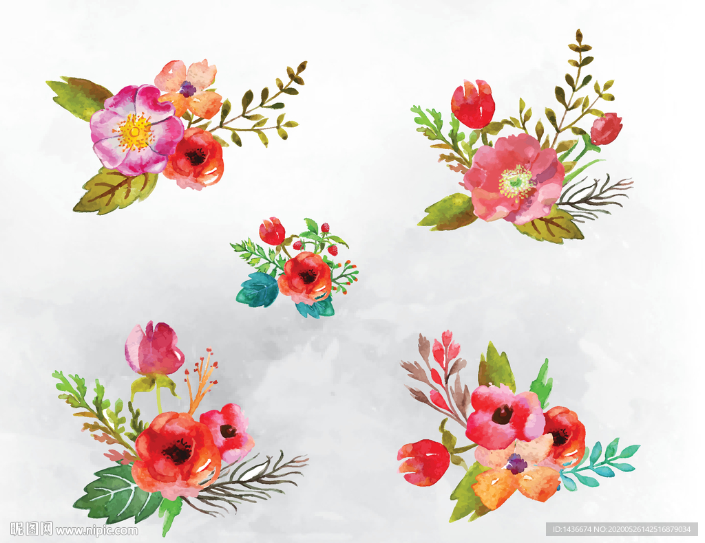 花卉插图设计