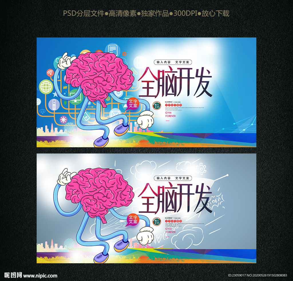 大脑 全脑开发 智力