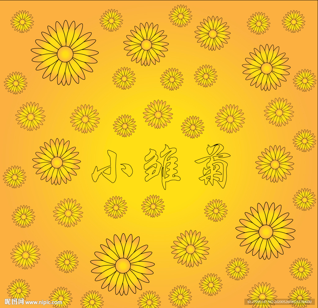 雏菊