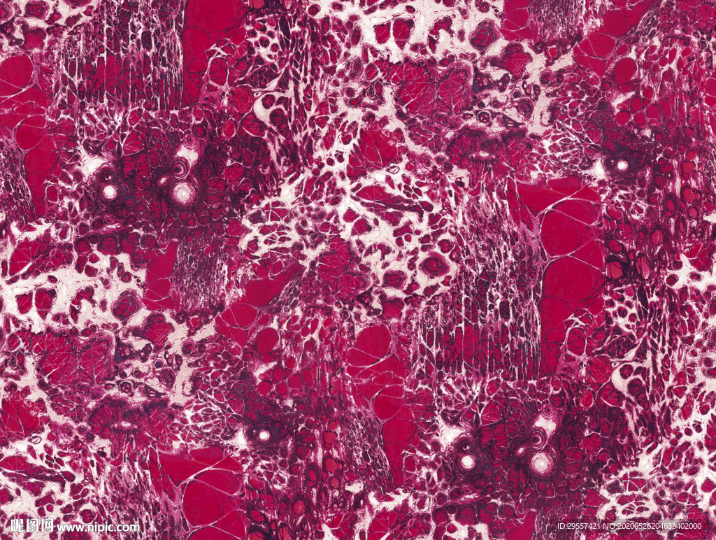 大牌  数码印花  设计  印