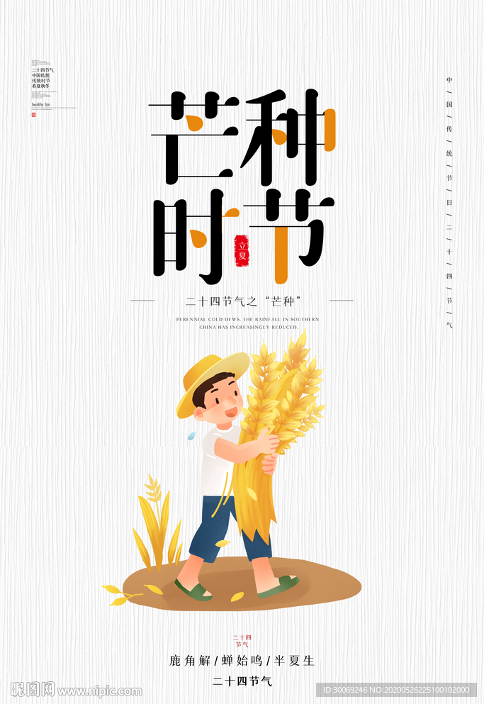 芒种
