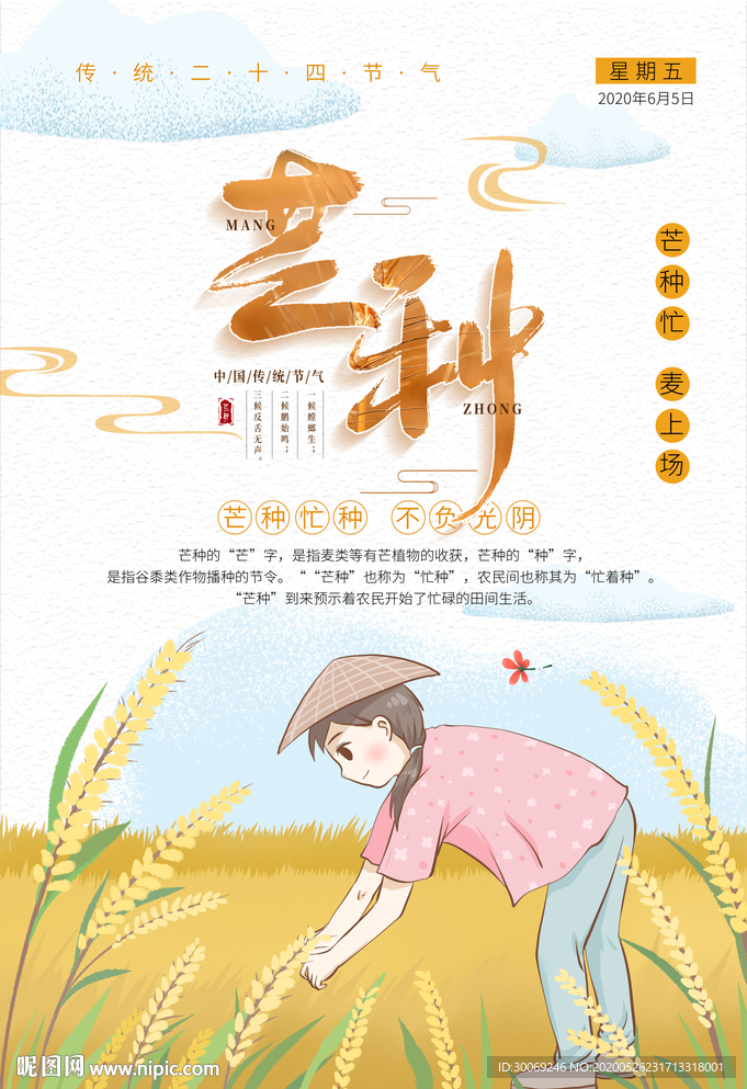 芒种