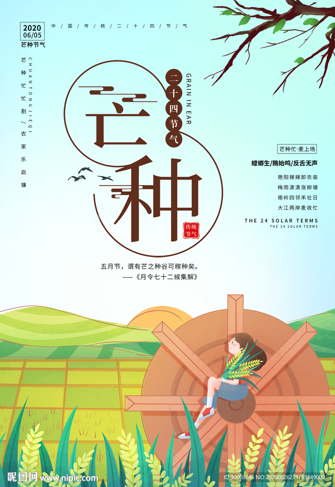 芒种