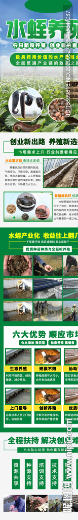 水蛭养殖招商加盟详情页面