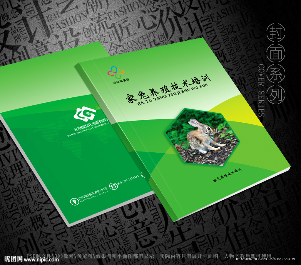 兔子封面