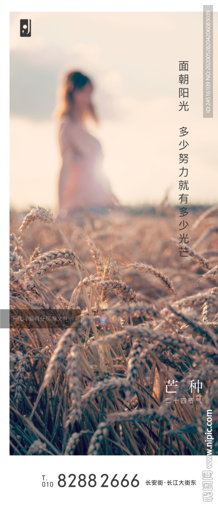 芒种