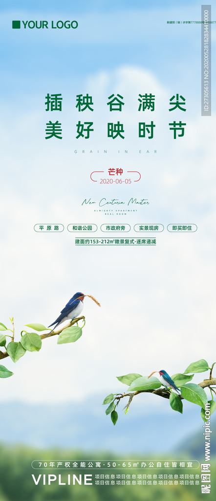 芒种