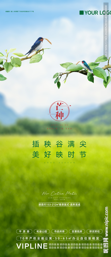 芒种