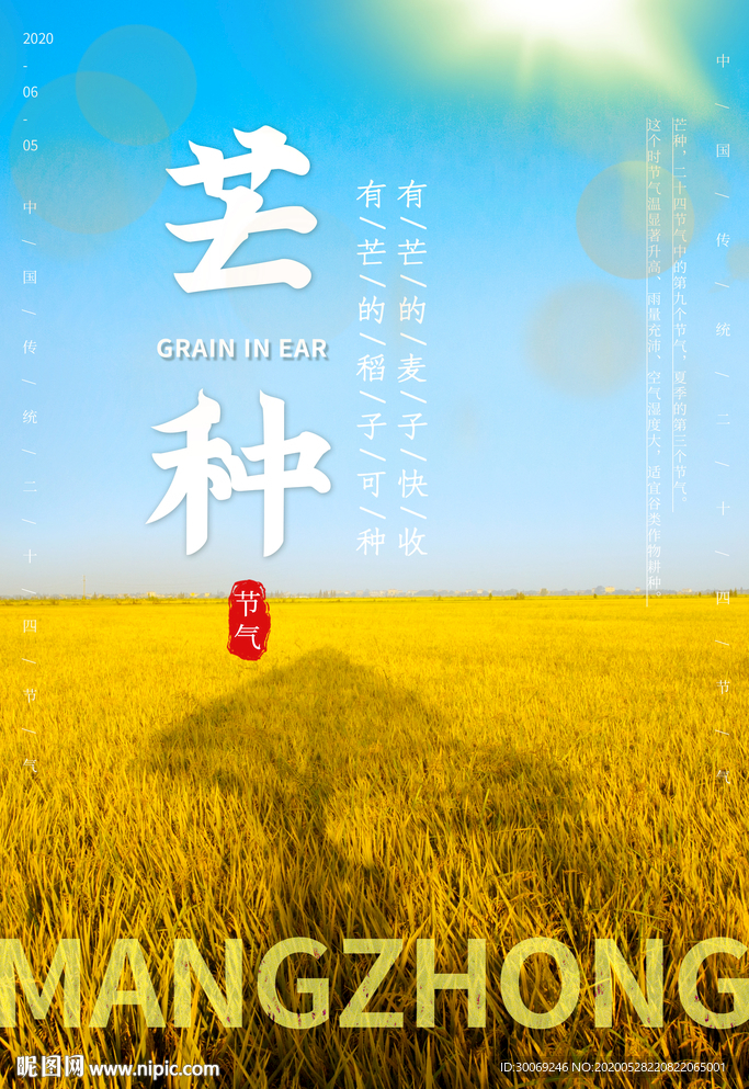 芒种