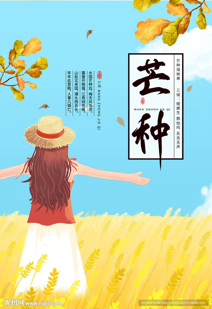 芒种