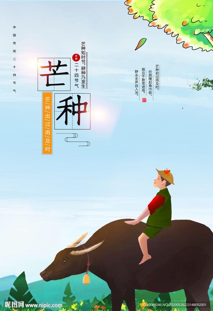 芒种