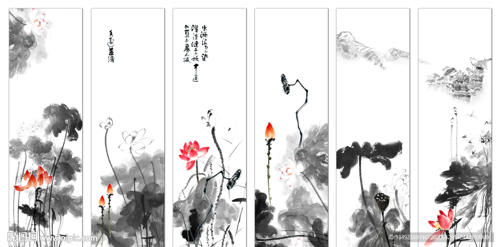 黑白荷花