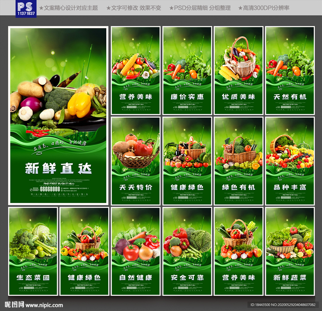蔬菜