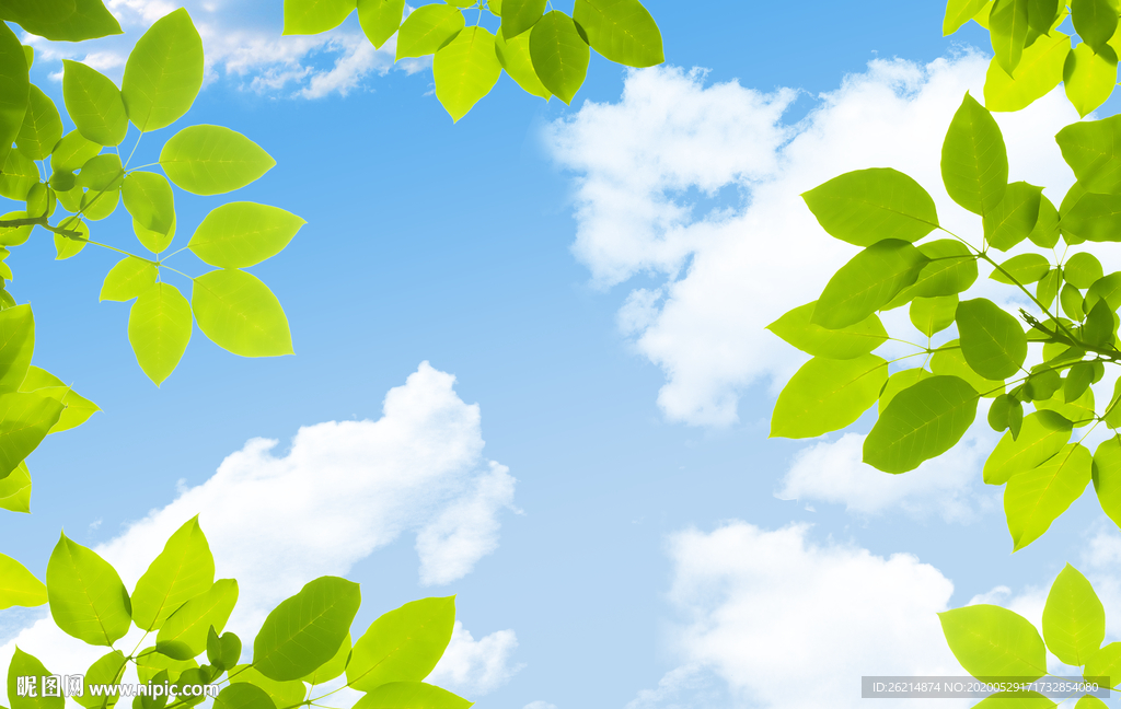绿叶蓝天白云