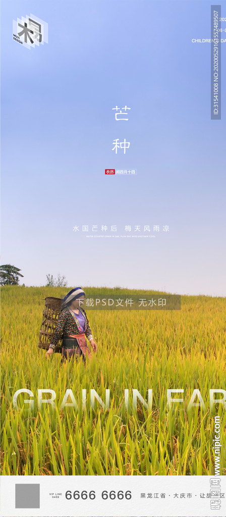 芒种