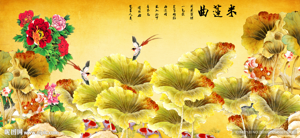荷花九鱼图