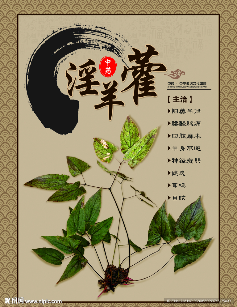 淫羊藿