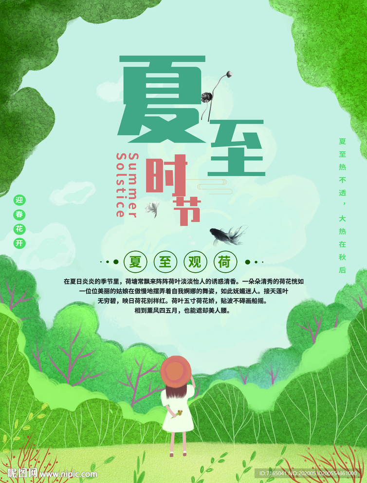 夏至图片 节气图片