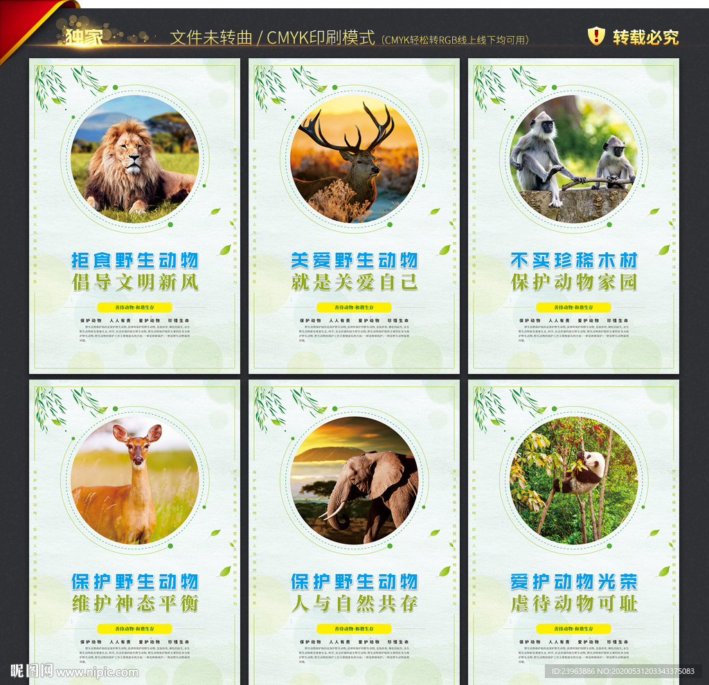 保护野生动物