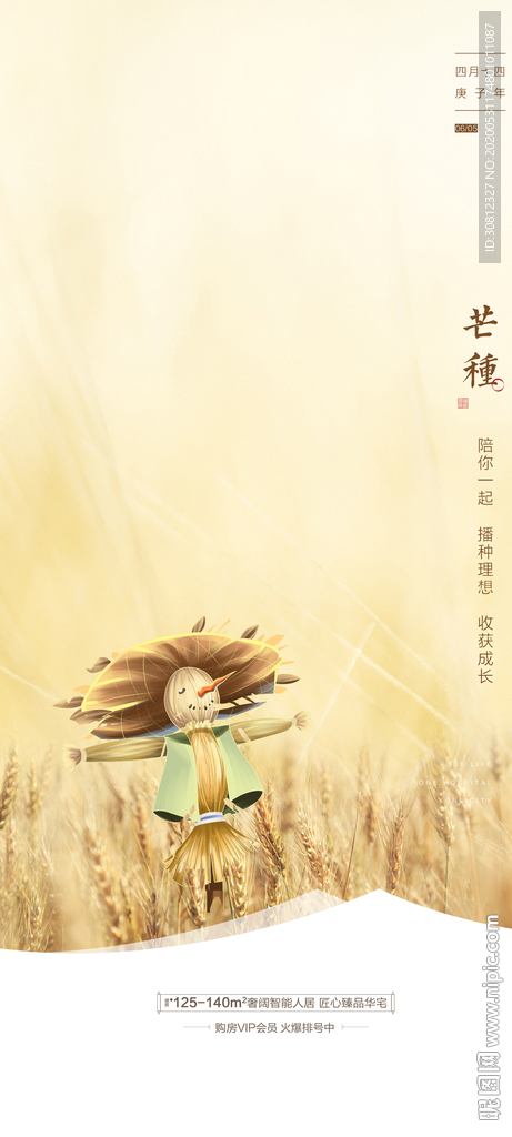 芒种