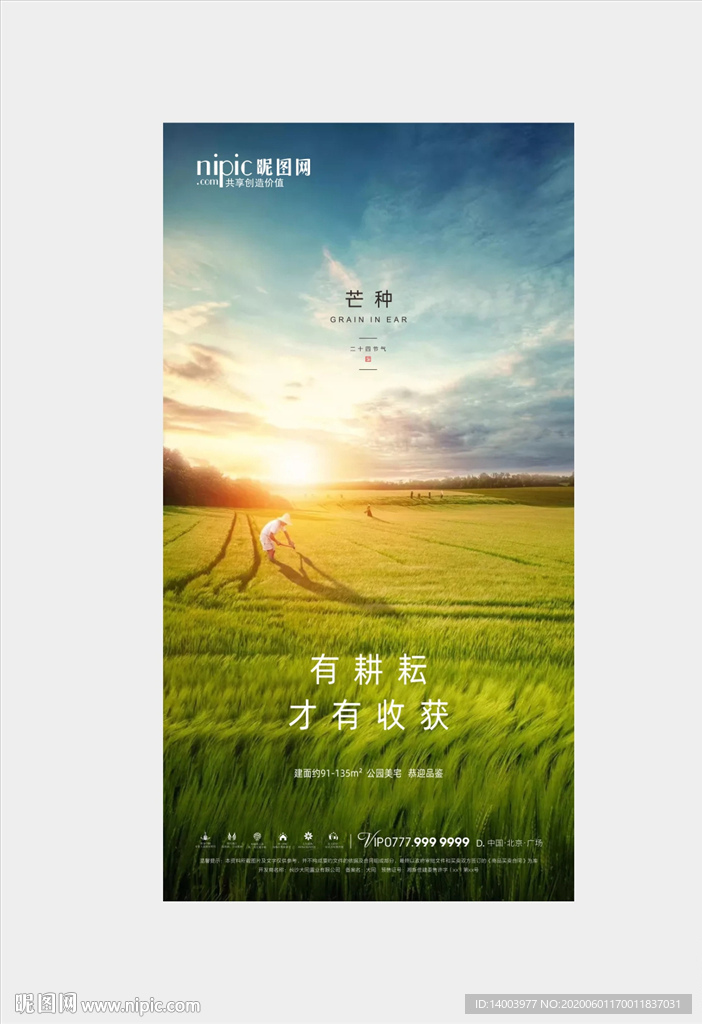 芒种微信