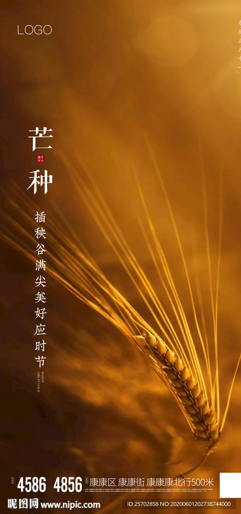 芒种