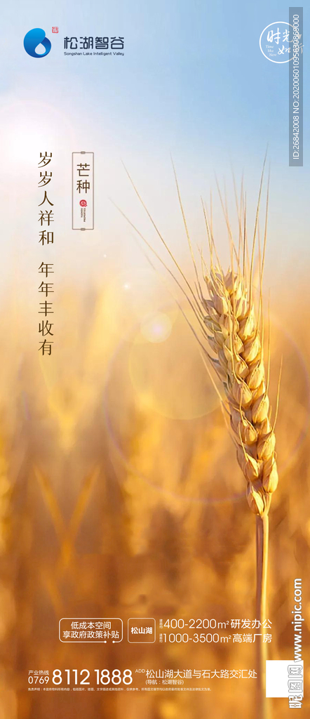 芒种