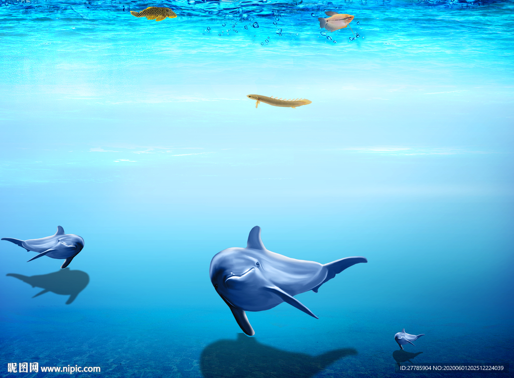 海底世界